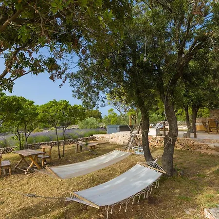 Feriehus House With A Parking Space Humac, Hvar - 8805 Jelsa (Hvar)